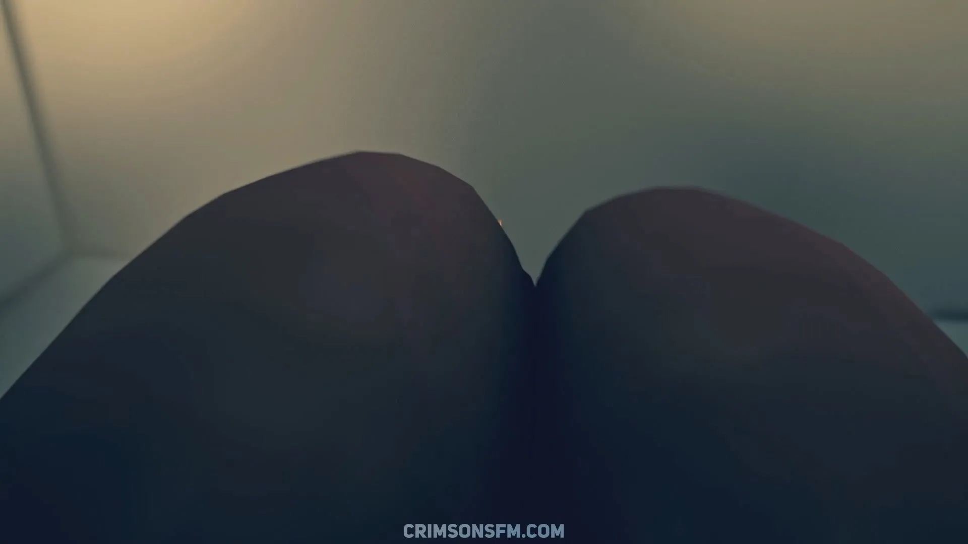 POV perspective in Hu Tao farts on Aether – fetish SFM preview 2